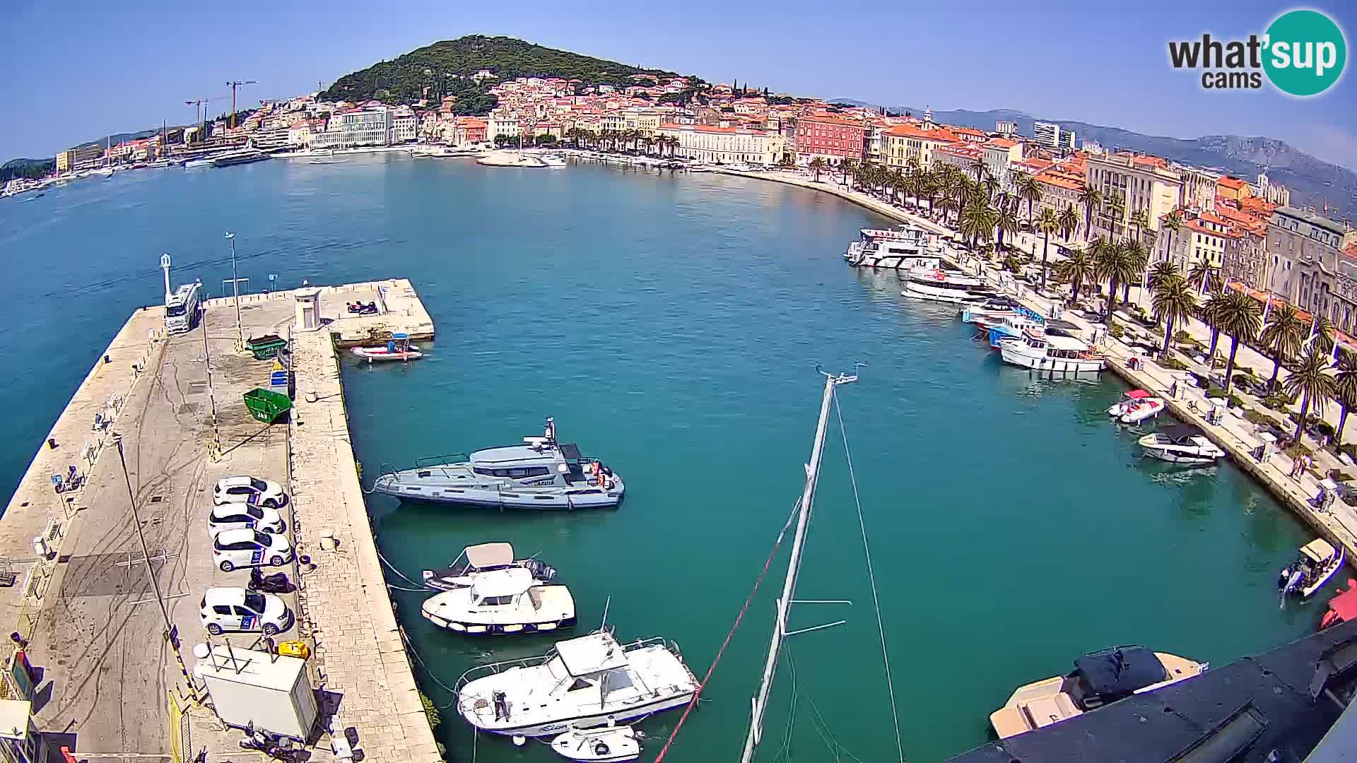 Split livecam panorama
