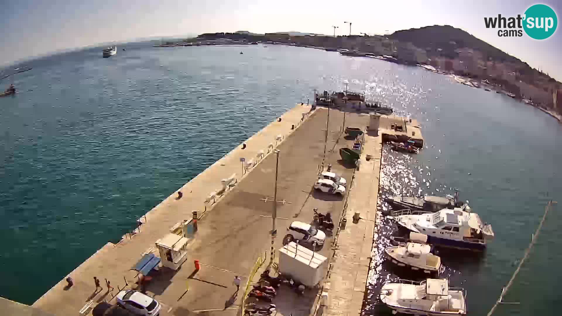 Kamera v živo Split  riva in pristanišče