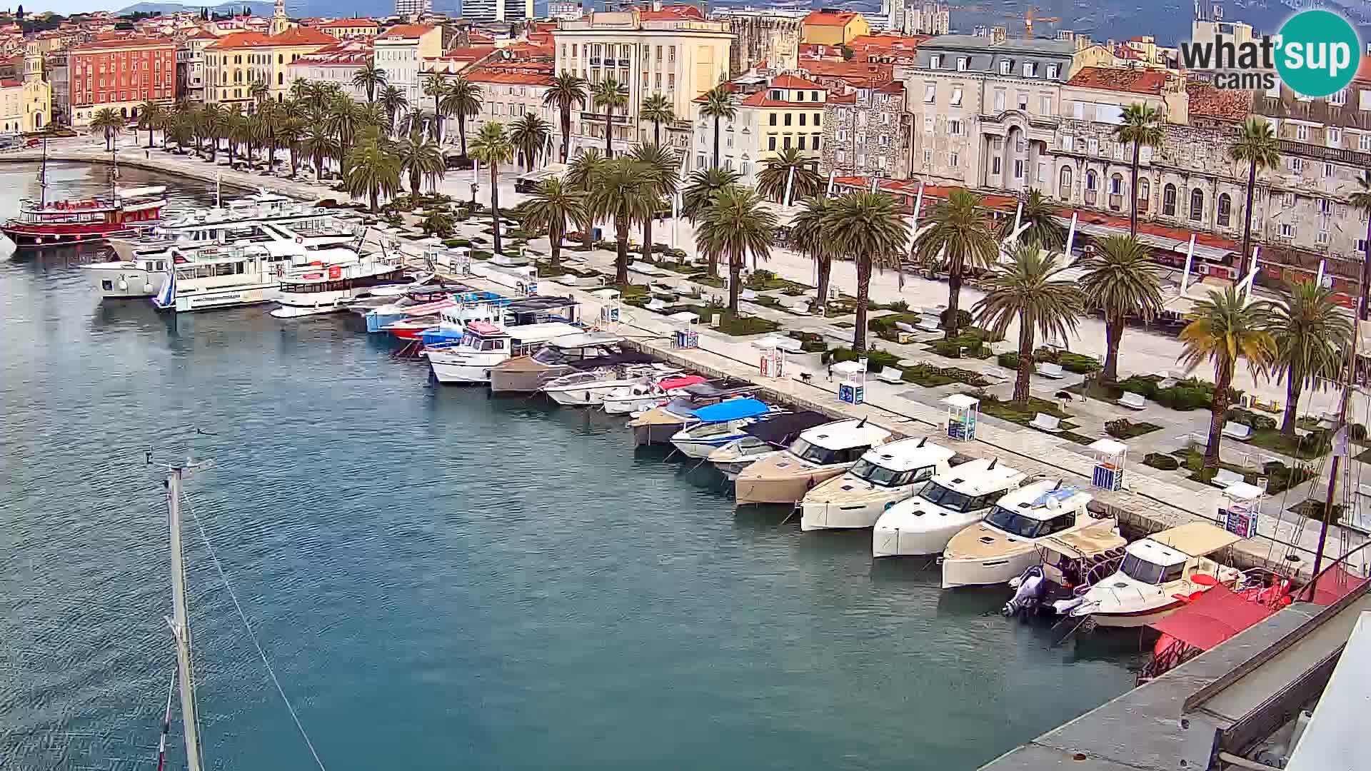 Webcam LIVE Split riva and port