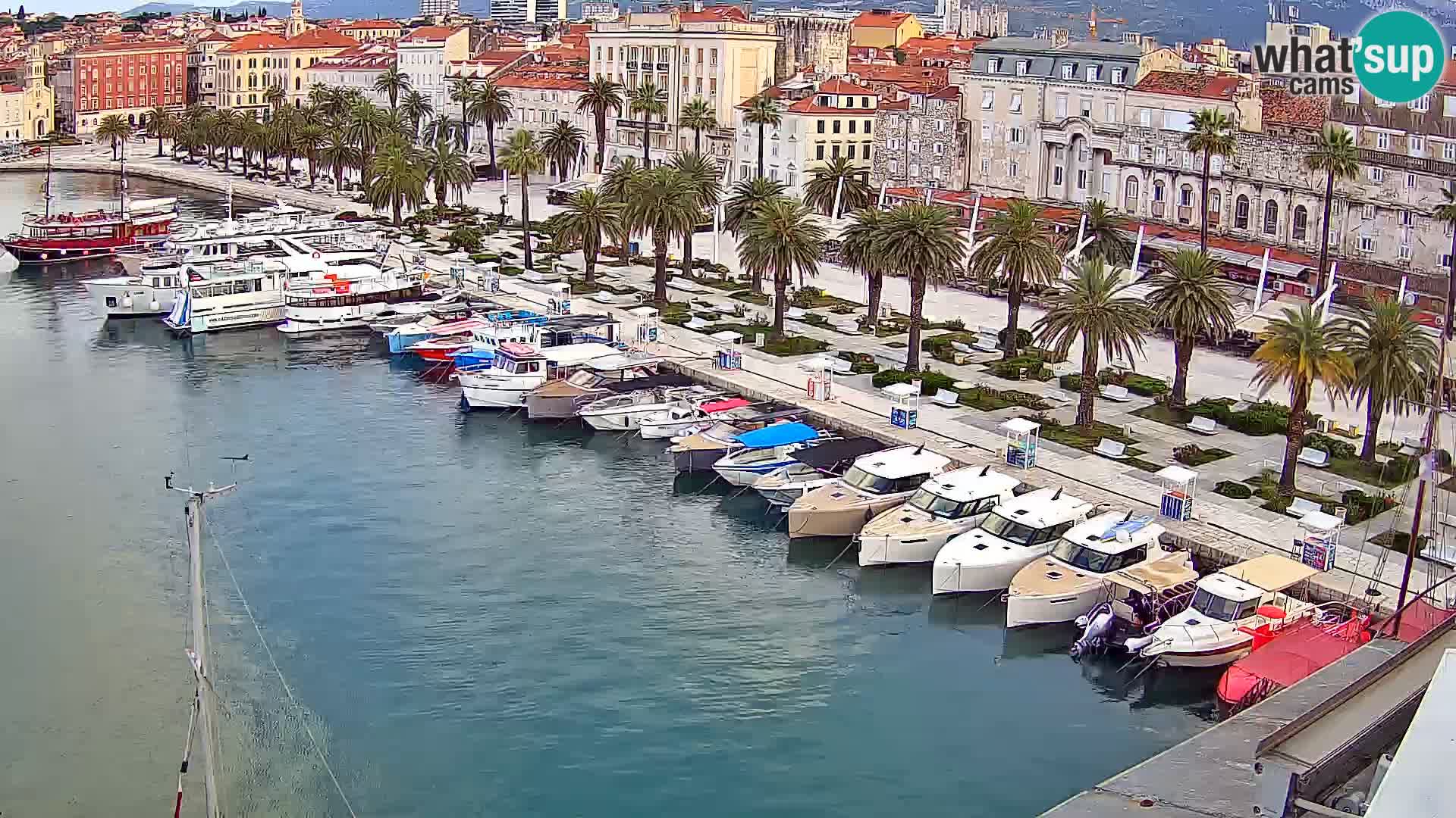 Webcam LIVE Split riva and port