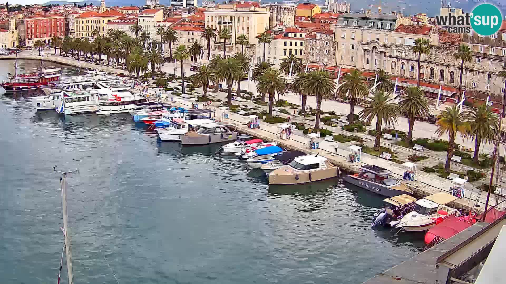 Panorama Split webcam Riva