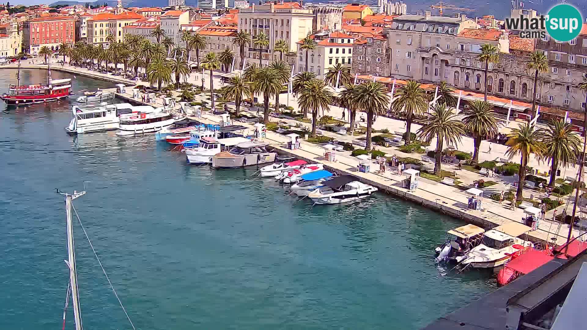 Split livecam panorama