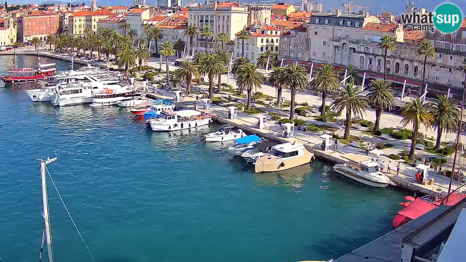 Webcam LIVE Split riva and port