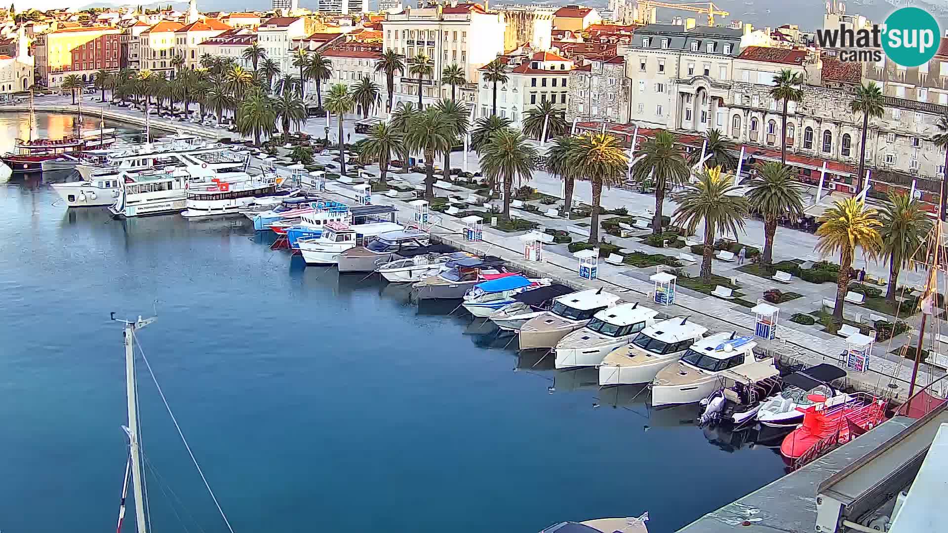 Webcam LIVE Split riva and port