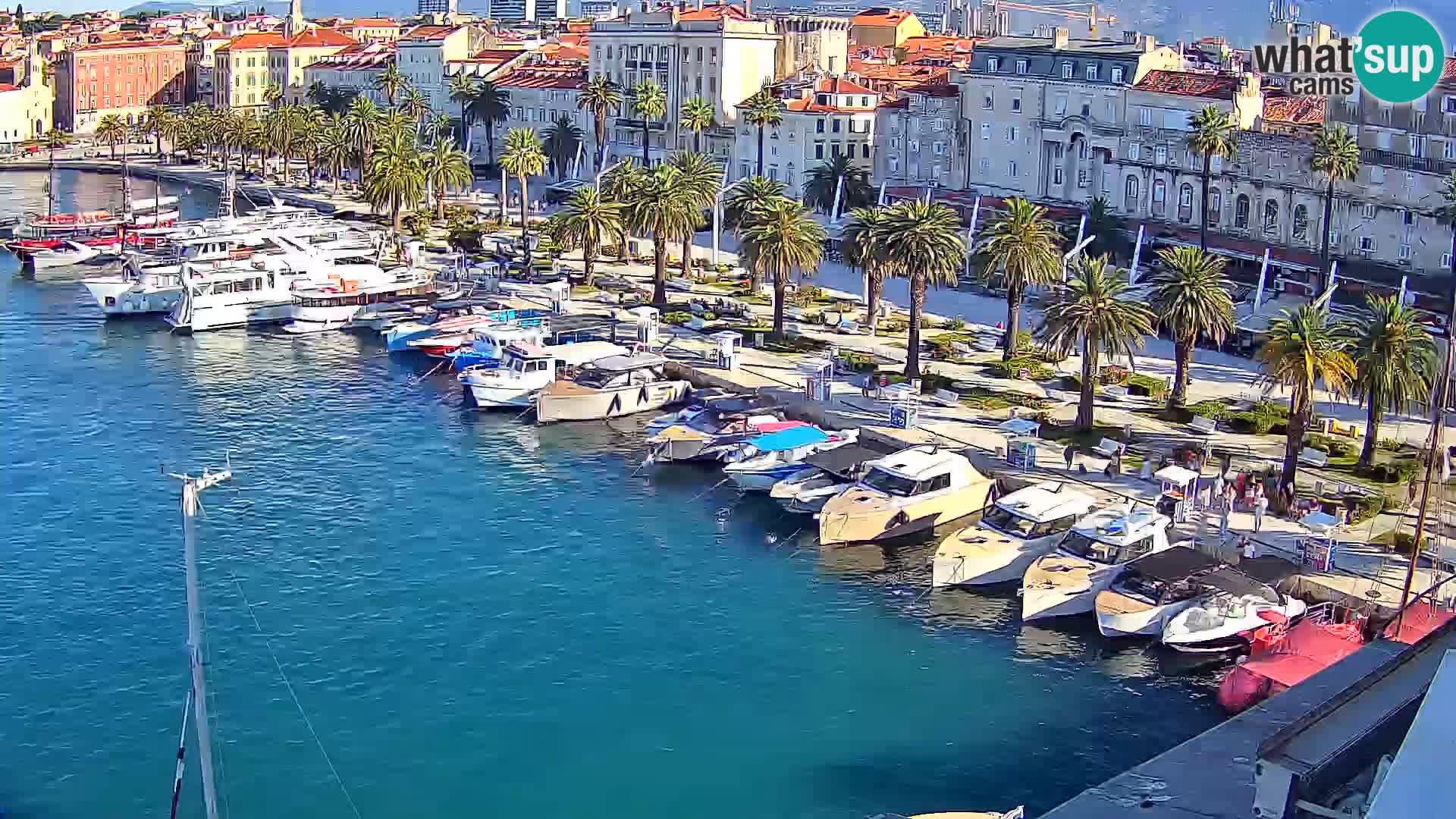 Split livecam panorama