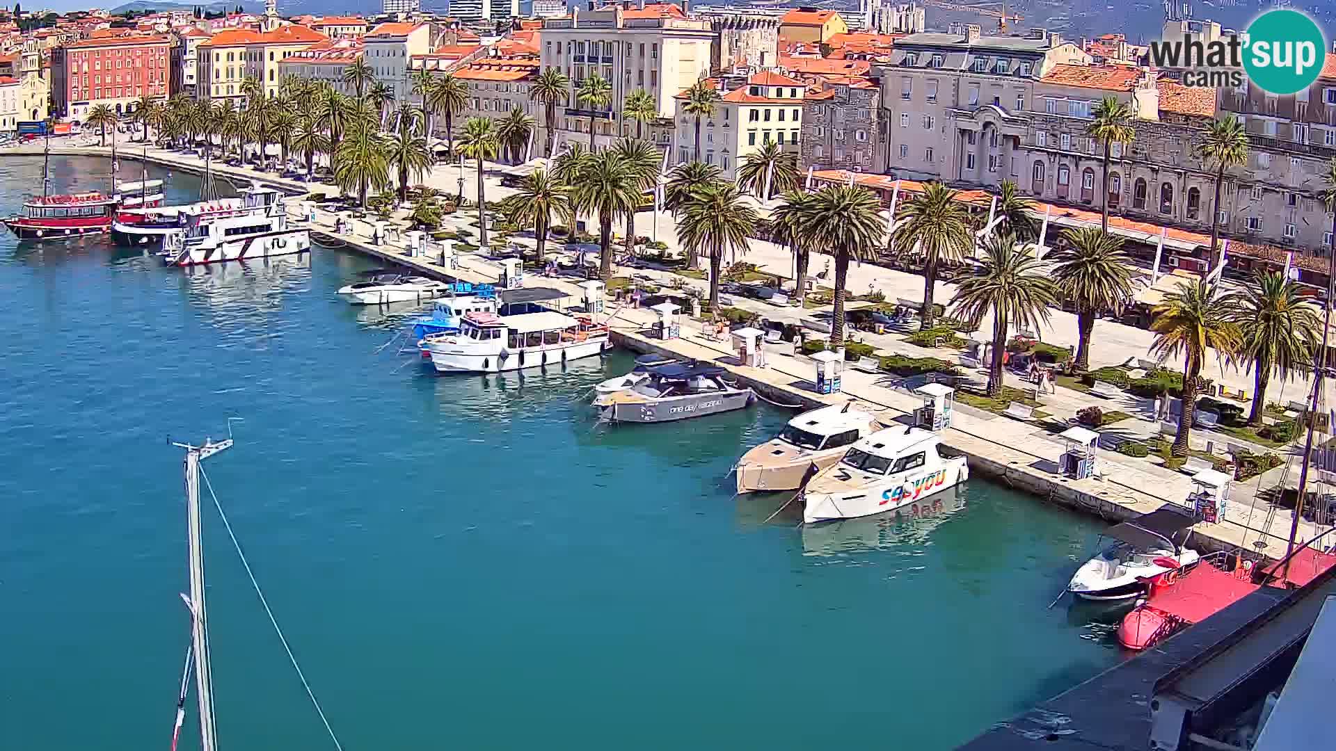 Webcam LIVE Split riva and port