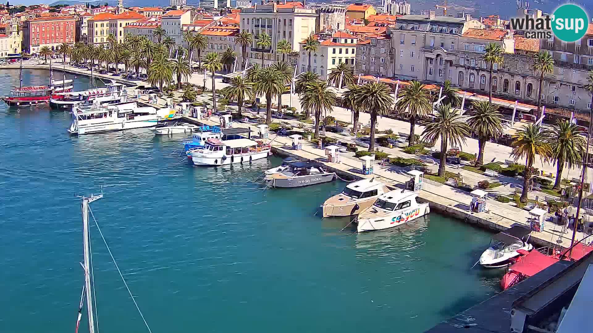 Webcam LIVE Split riva and port