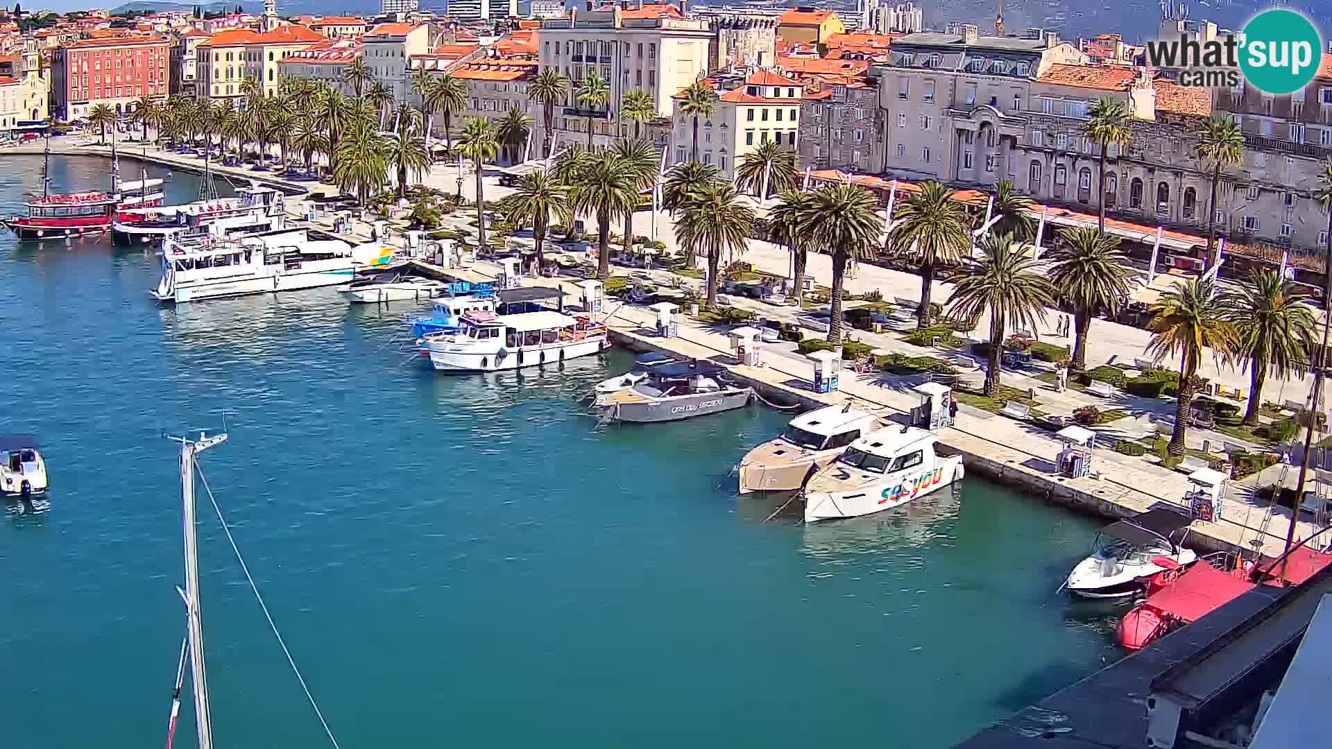 Webcam LIVE Split riva and port