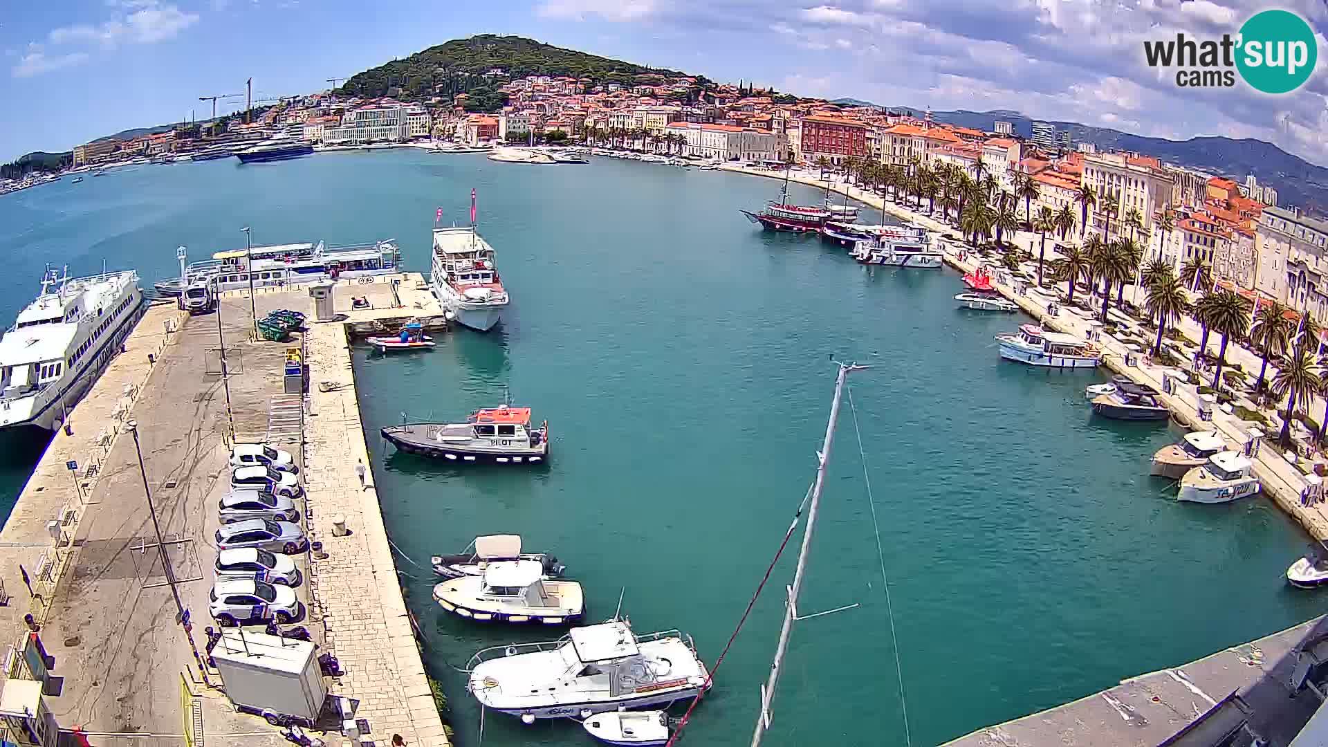 Split v živo panoramska kamera
