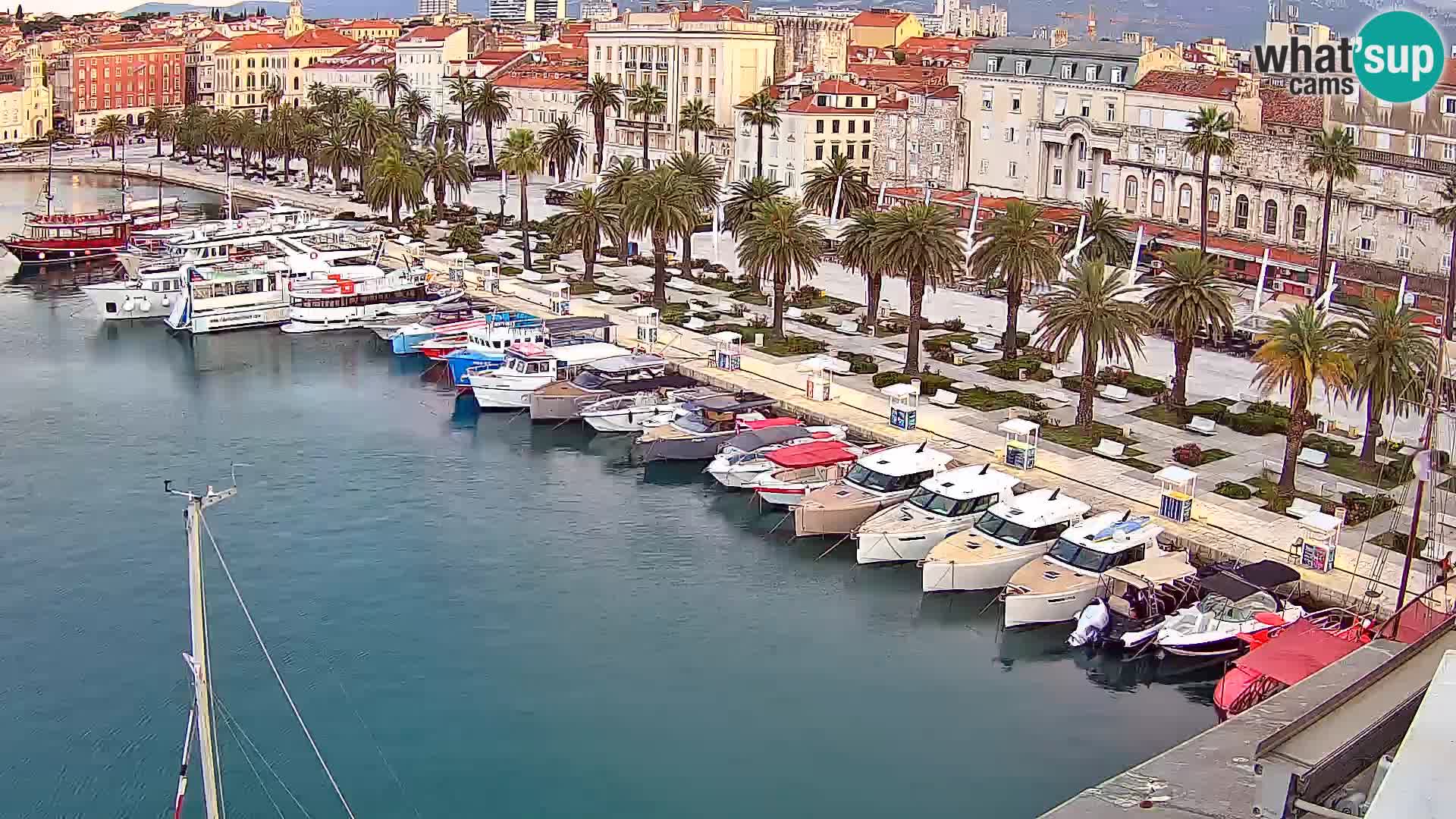 Webcam LIVE Split riva and port
