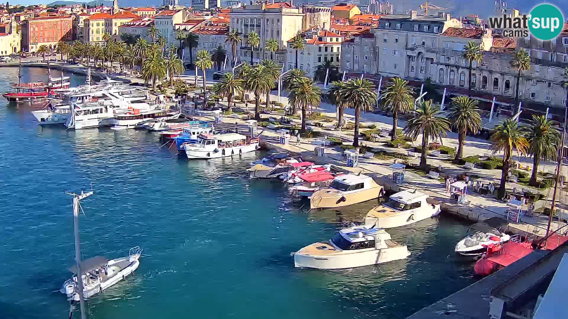 Split panorama en vivo