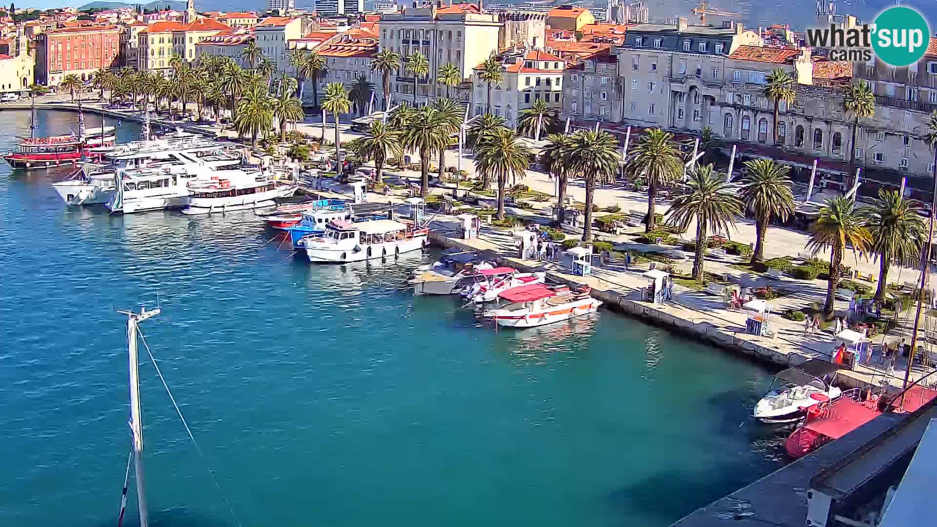 Split v živo panoramska kamera