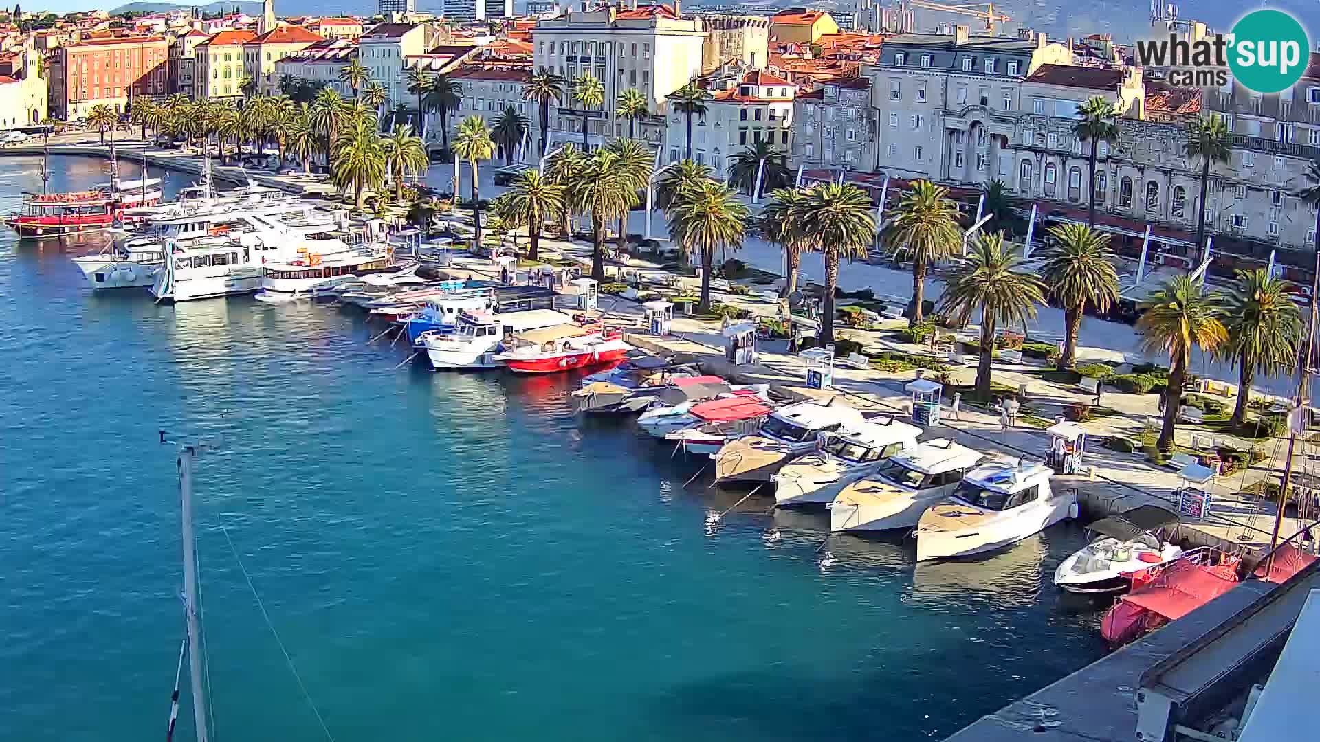 Split v živo panoramska kamera