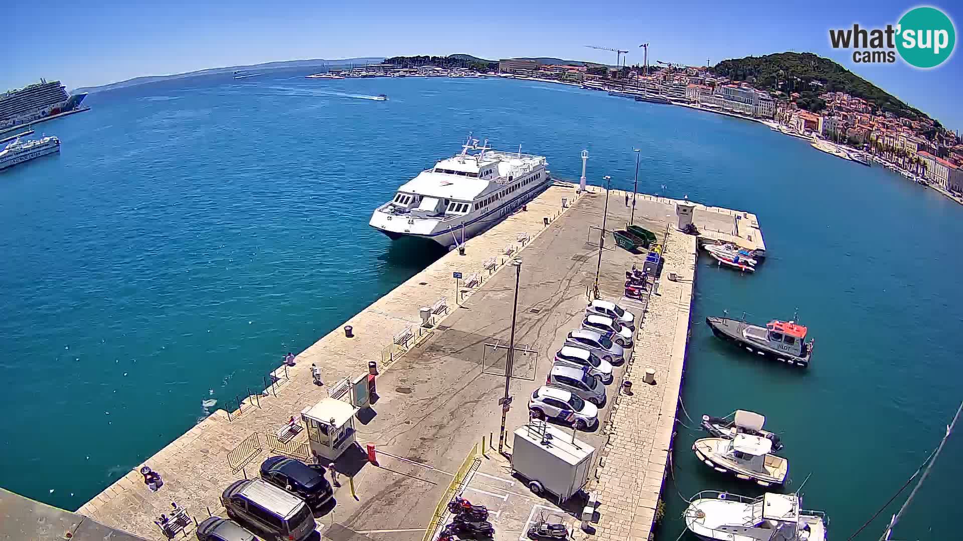 Split livecam panorama