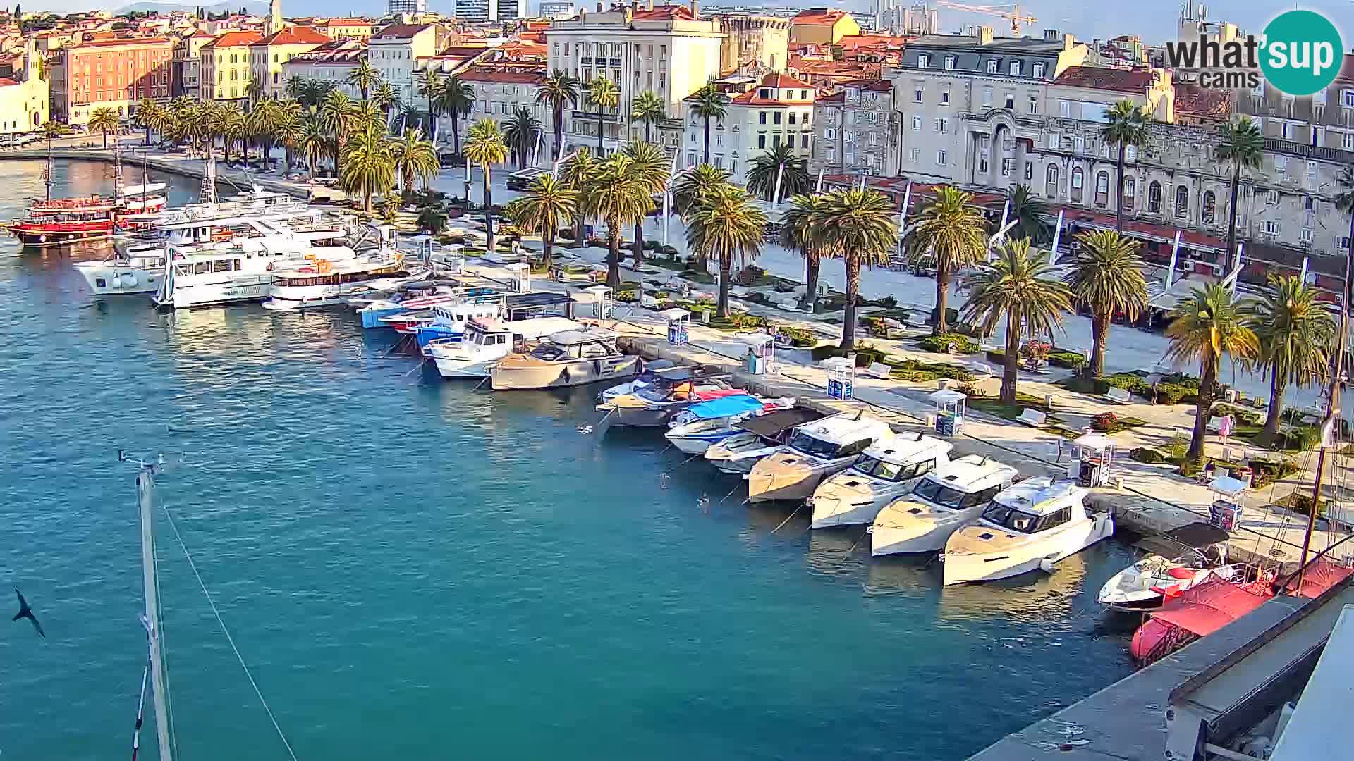 Kamera v živo Split  riva in pristanišče