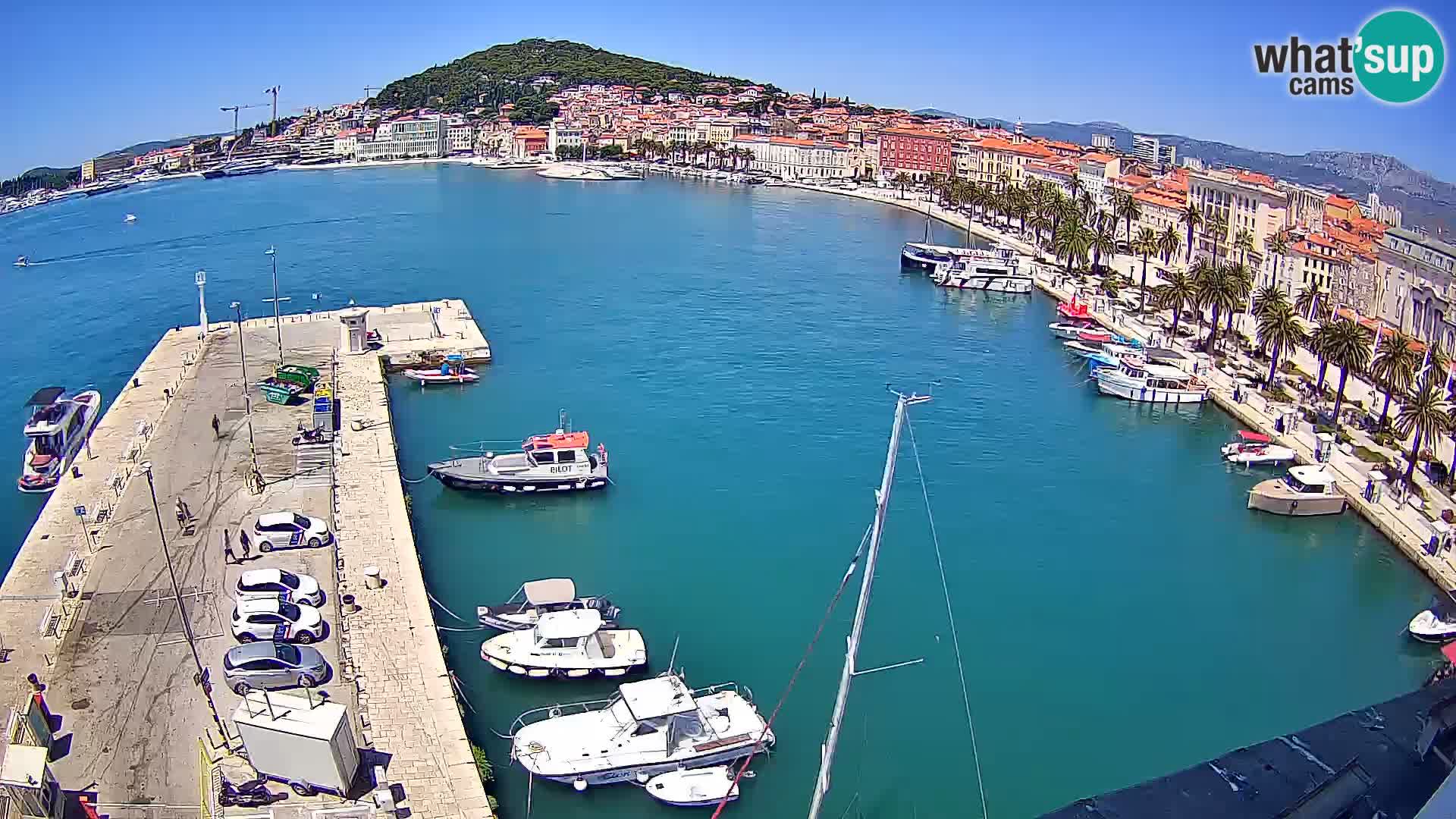 Webcam LIVE Split riva and port