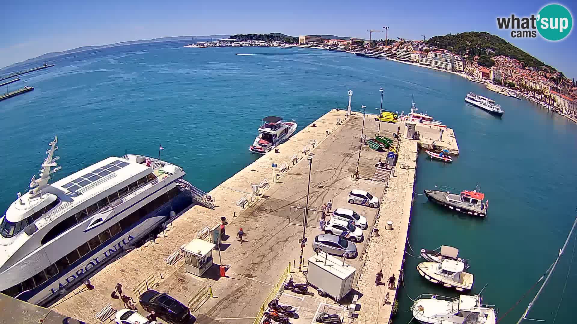 Split v živo panoramska kamera