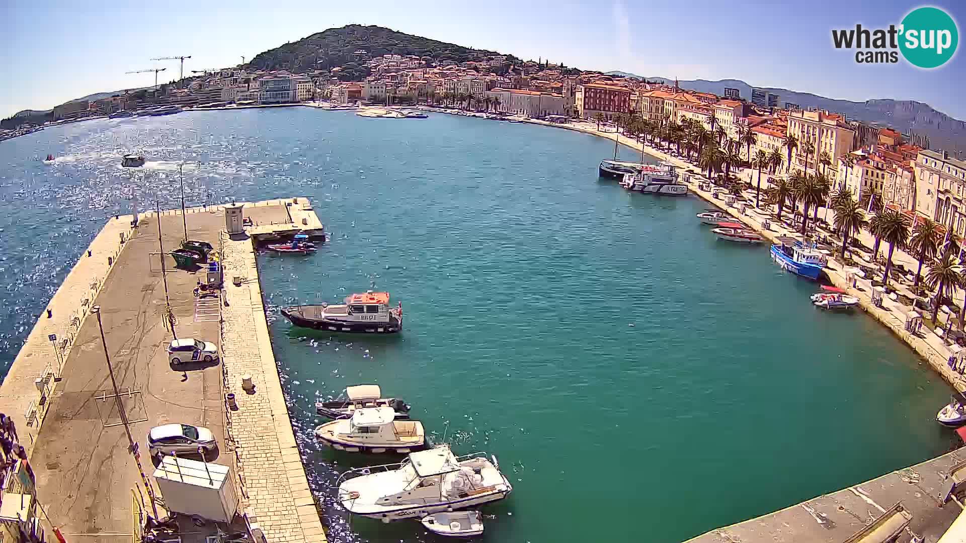 Split panorama en vivo