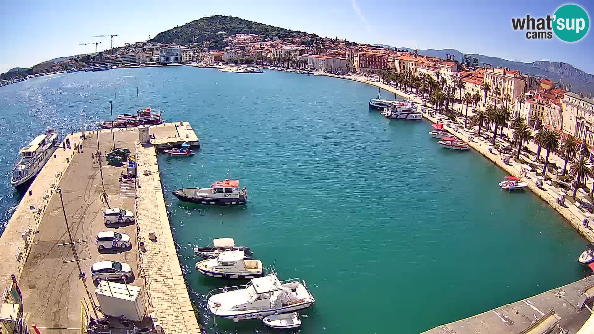 Webcam LIVE Split riva and port