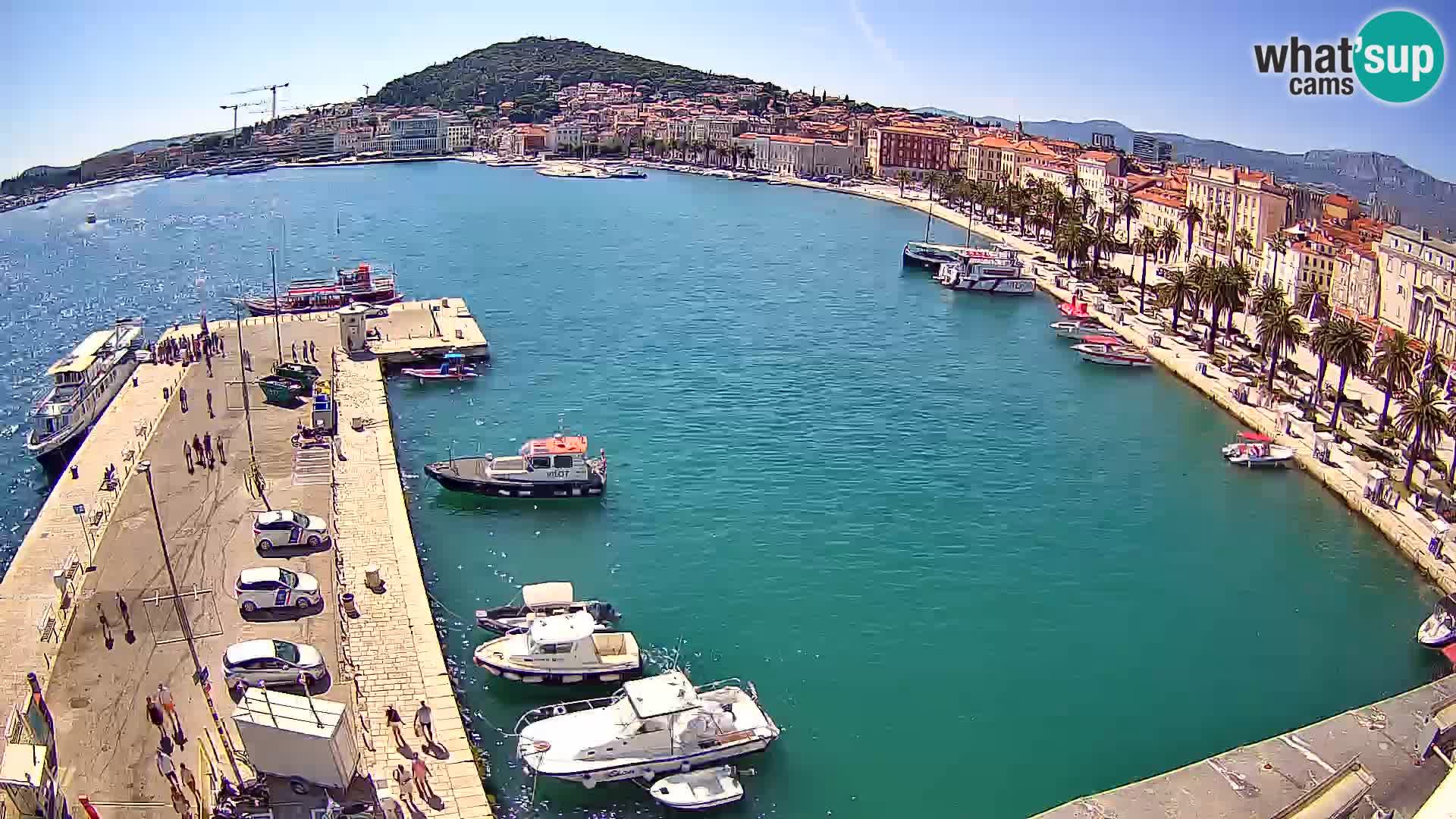 Webcam LIVE Split riva and port