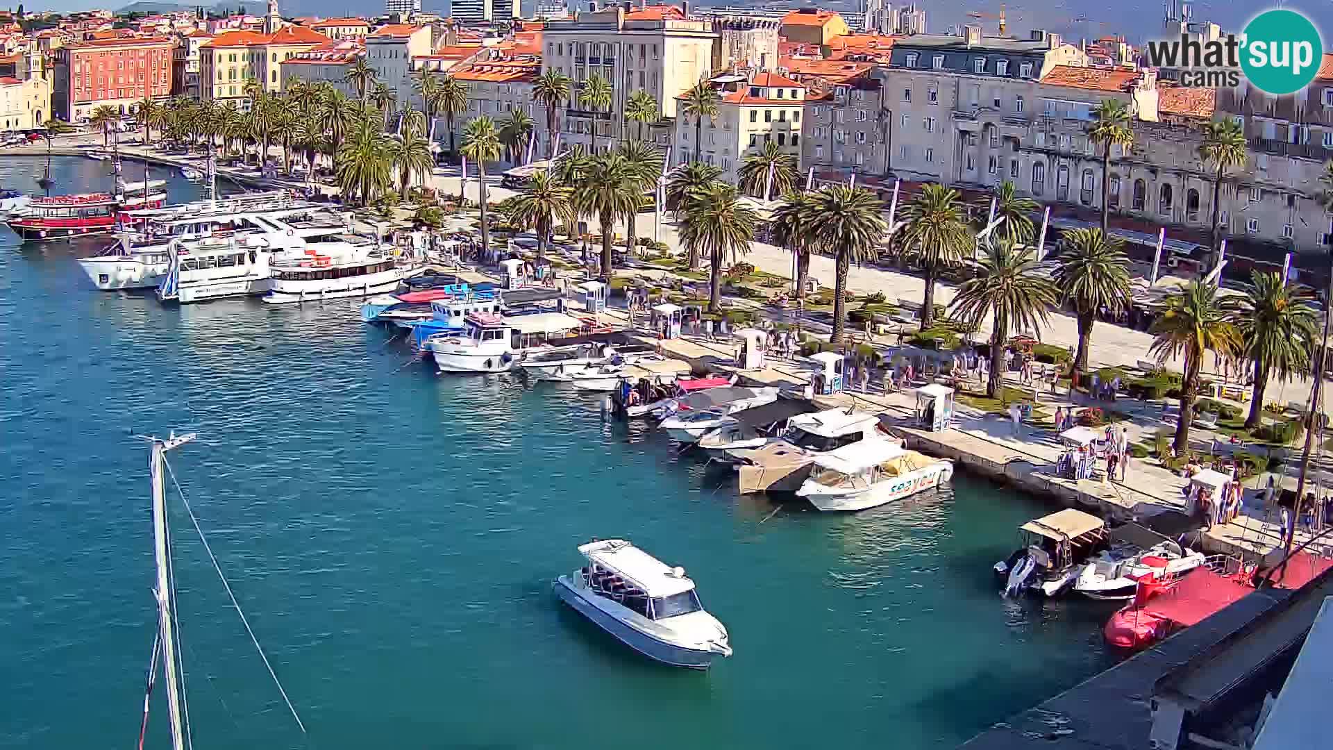 Split panorama en vivo