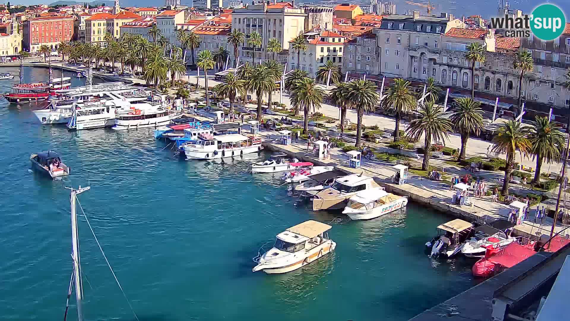 Camera en vivo Split puerto