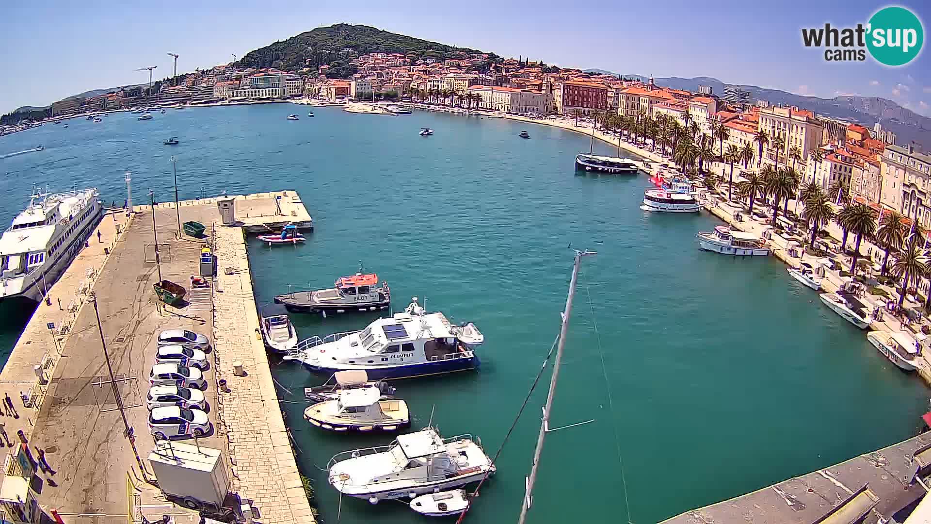 Webcam LIVE Split riva and port