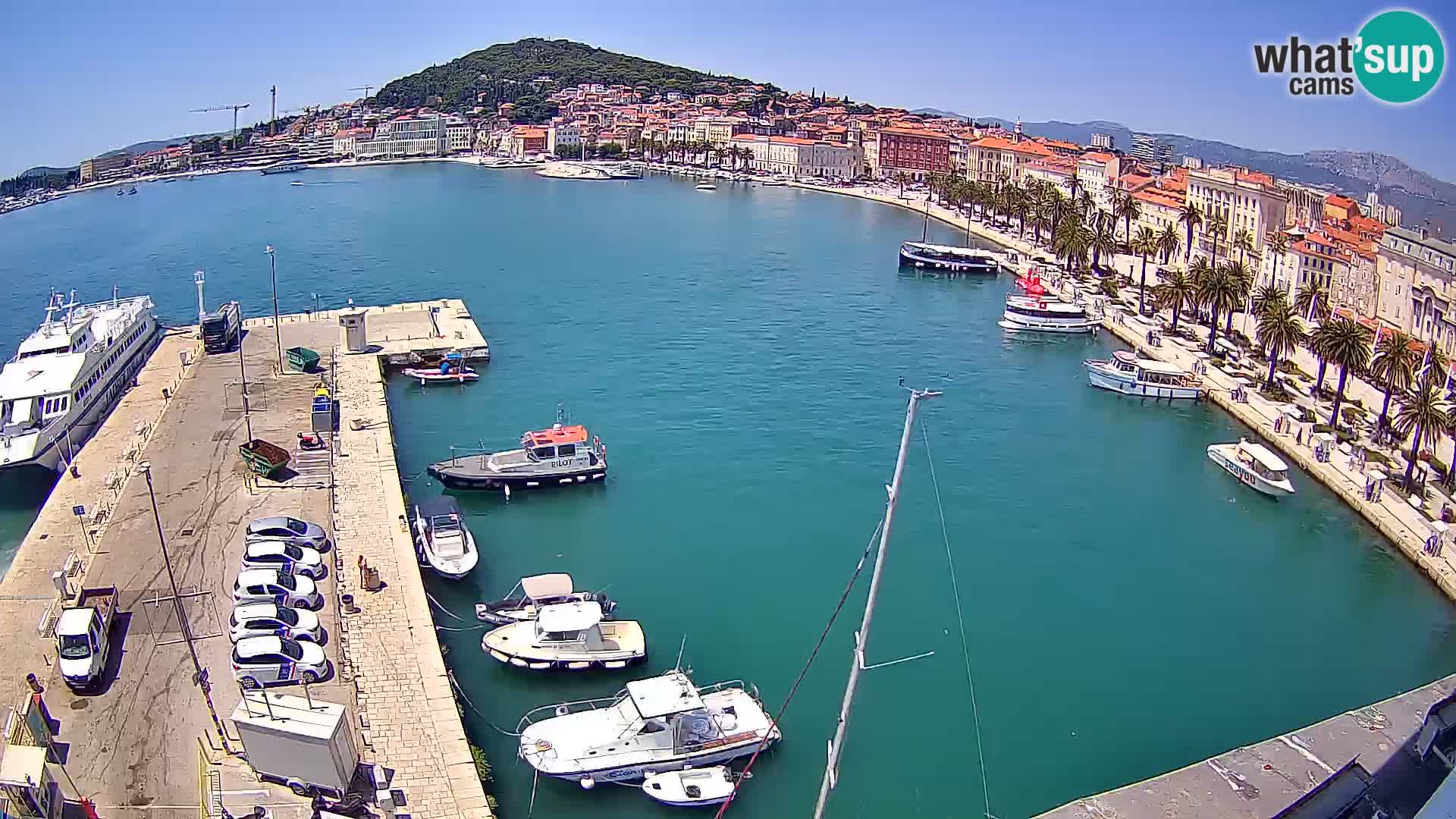 Webcam LIVE Split riva and port