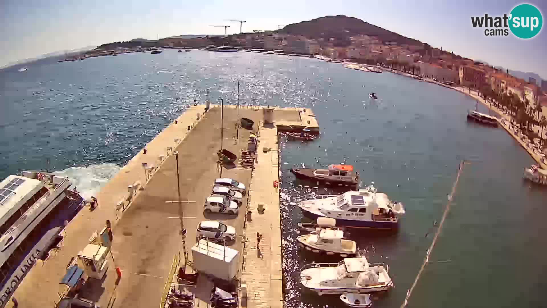 Webcam LIVE Split riva and port