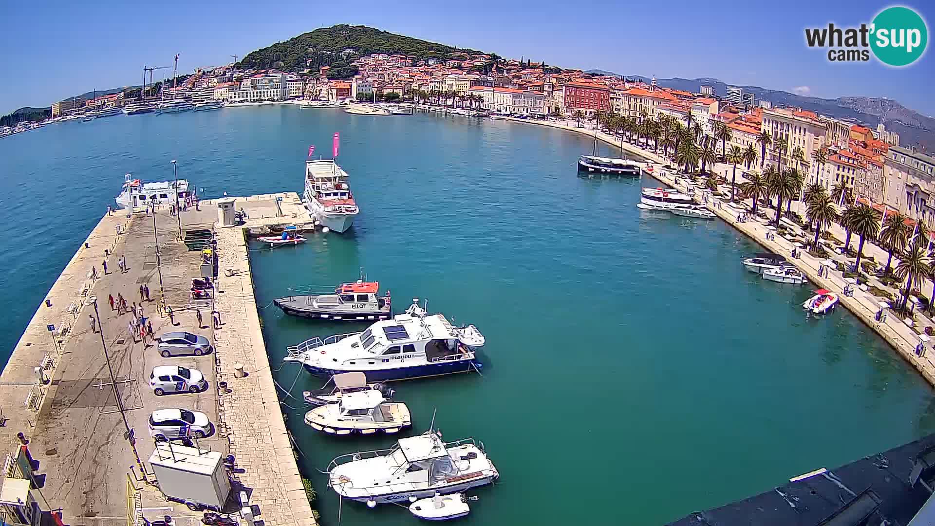Webcam LIVE Split riva and port