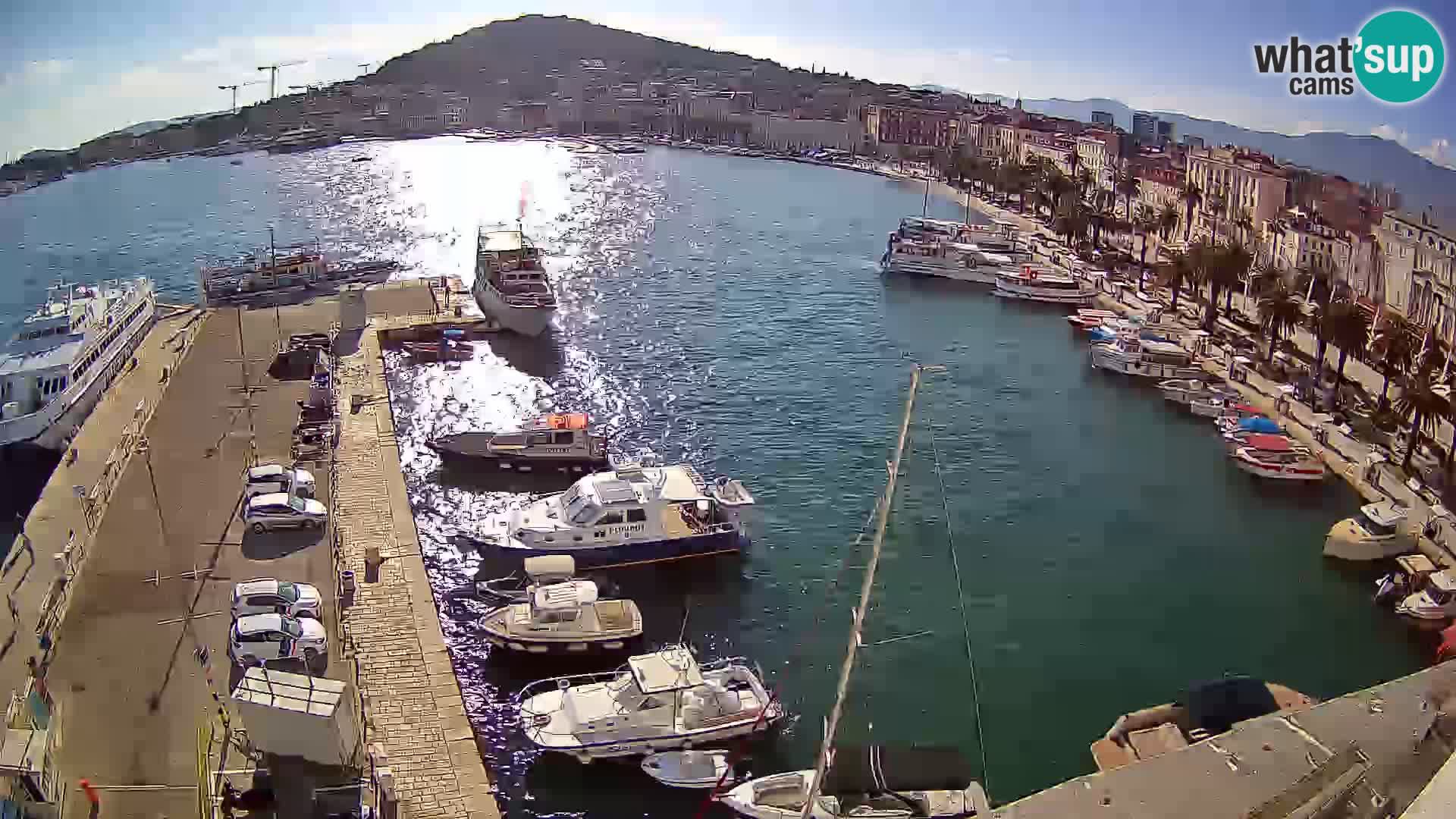 Split livecam panorama