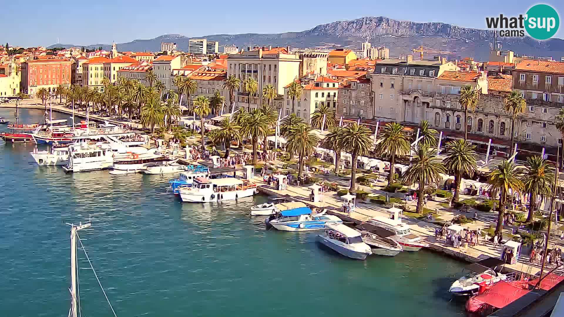 Split v živo panoramska kamera