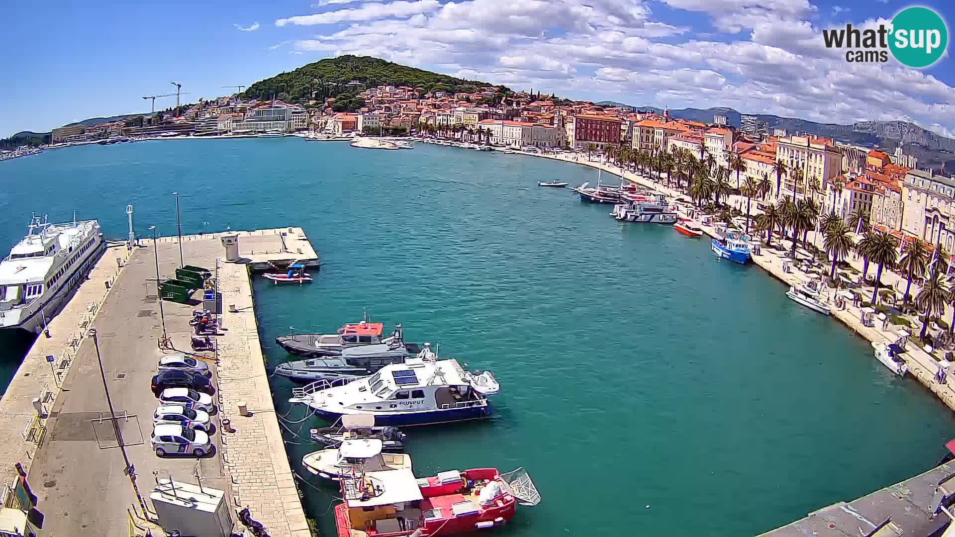 Webcam LIVE Split riva and port