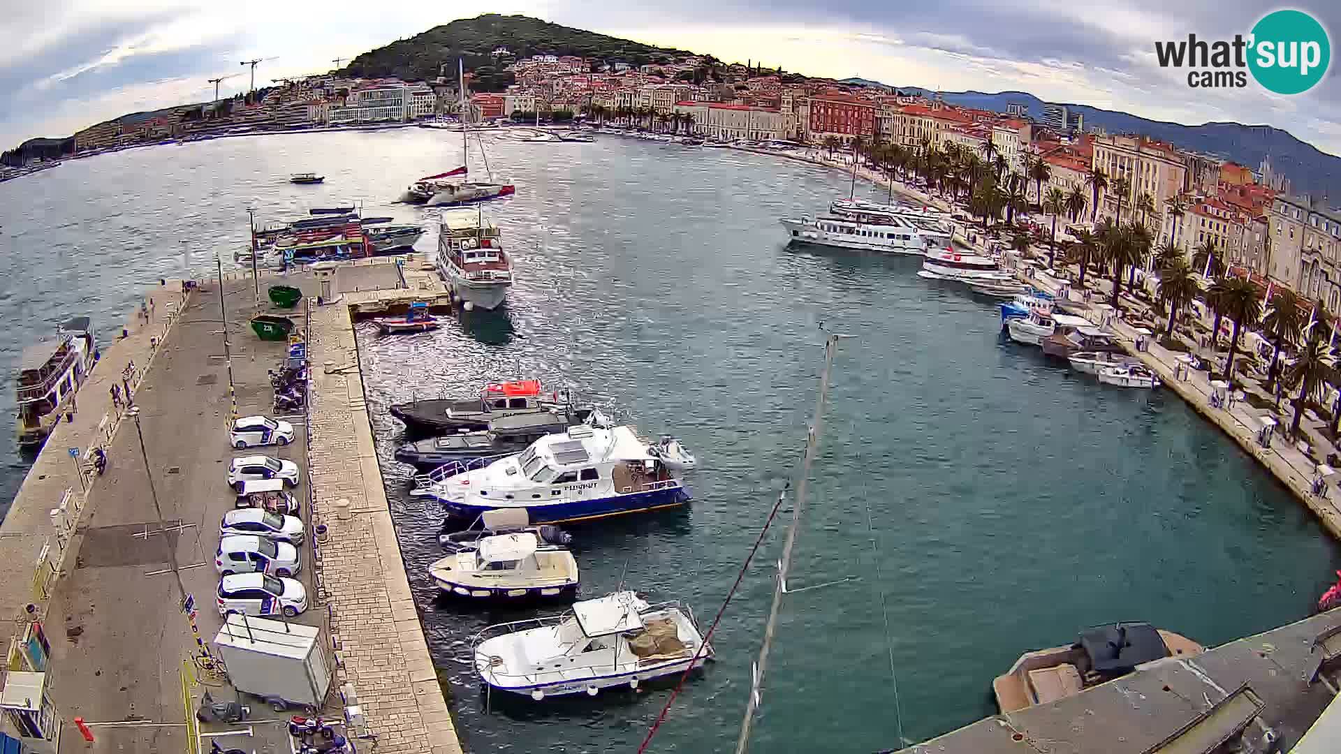 Webcam LIVE Split riva and port