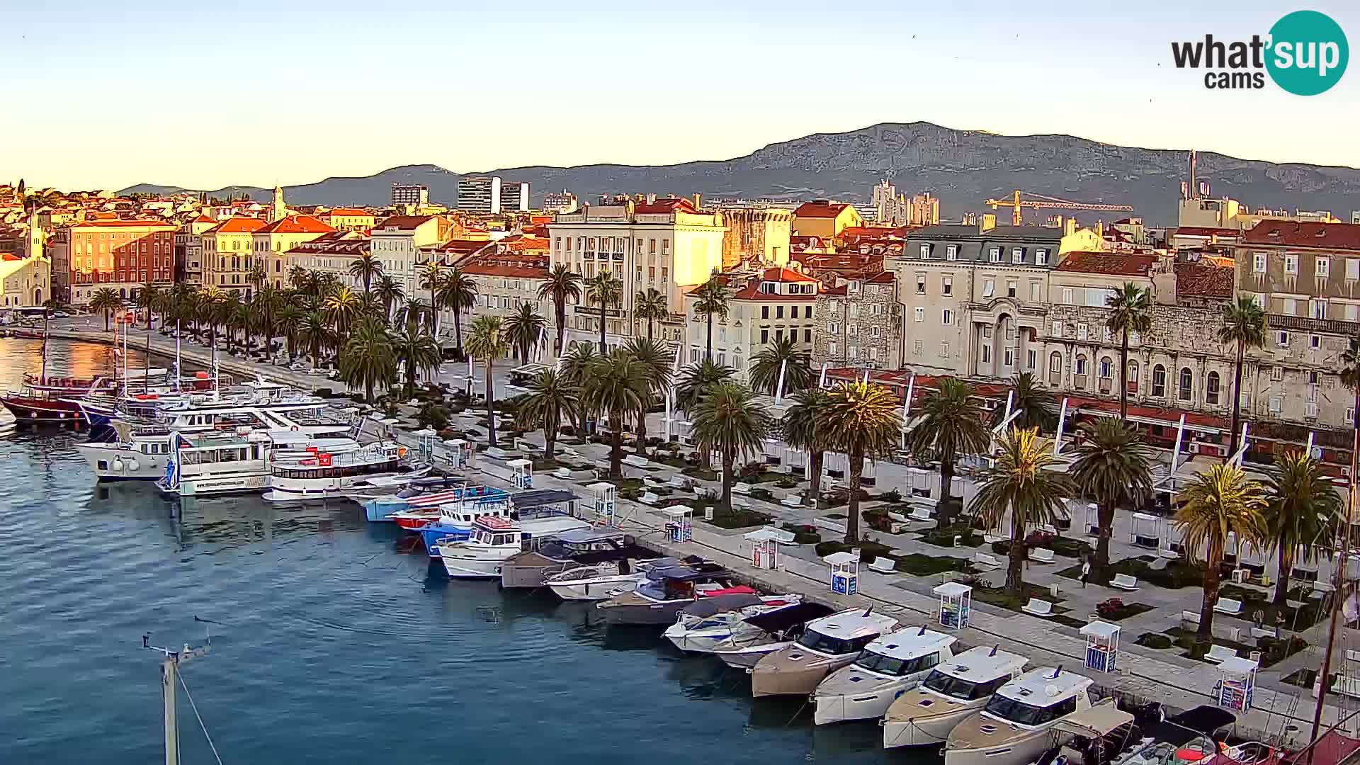 Split v živo panoramska kamera