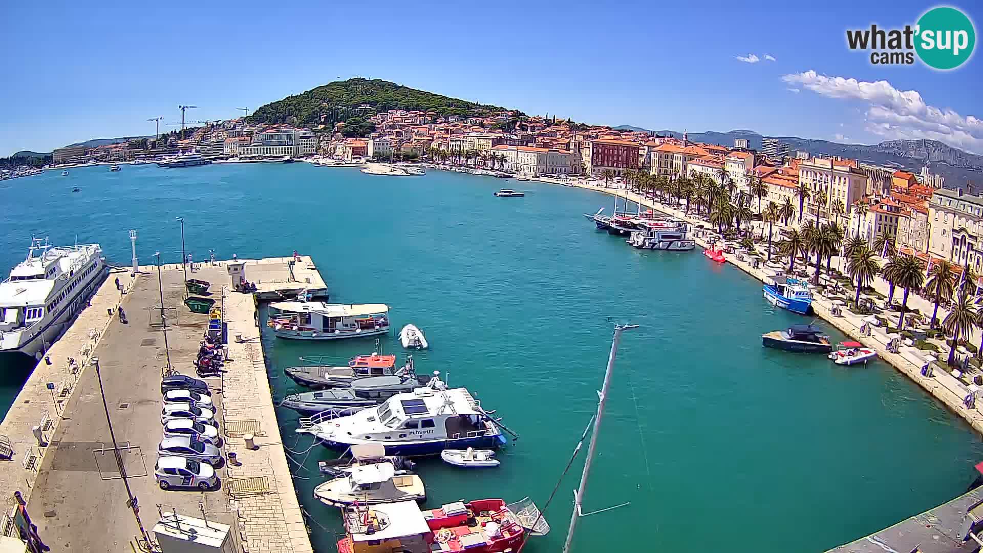 Webcam LIVE Split riva and port