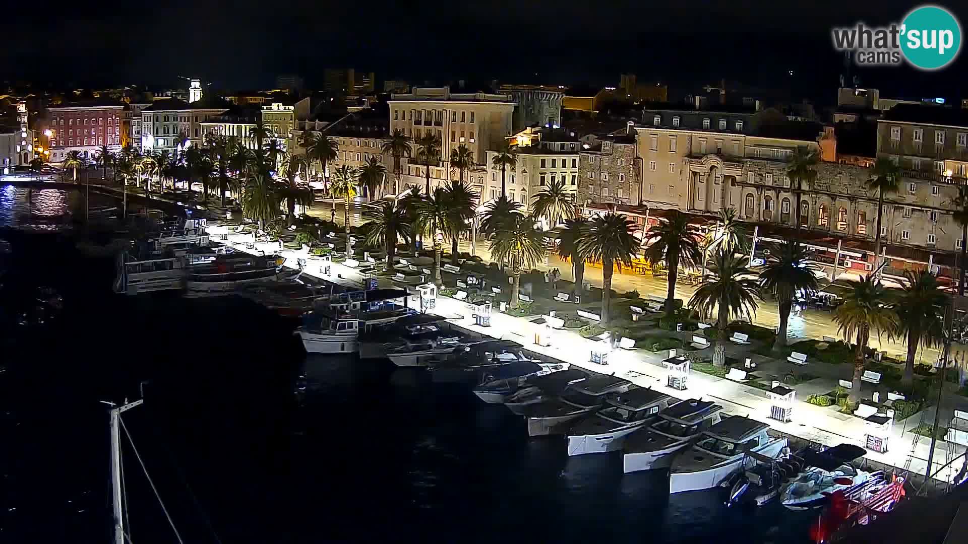 Split v živo panoramska kamera