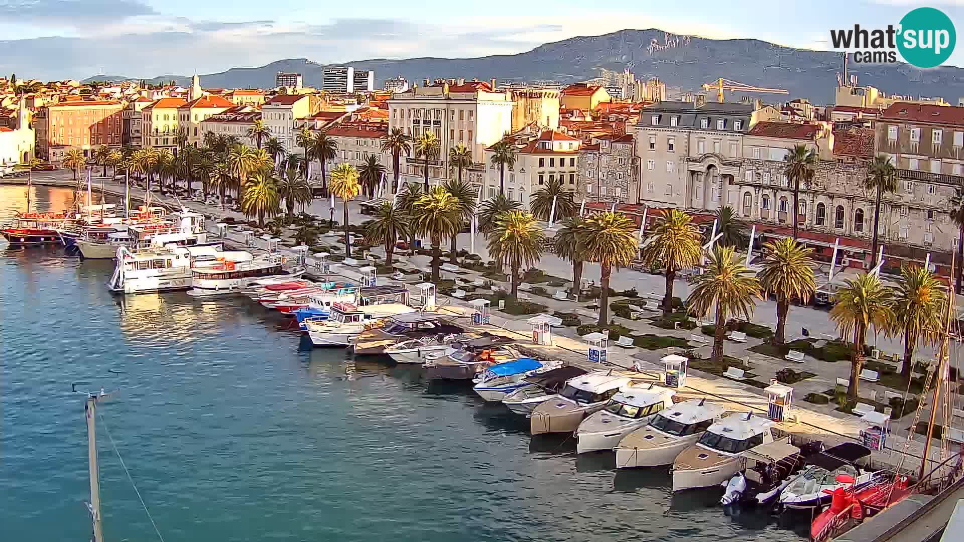 Webcam LIVE Split riva and port