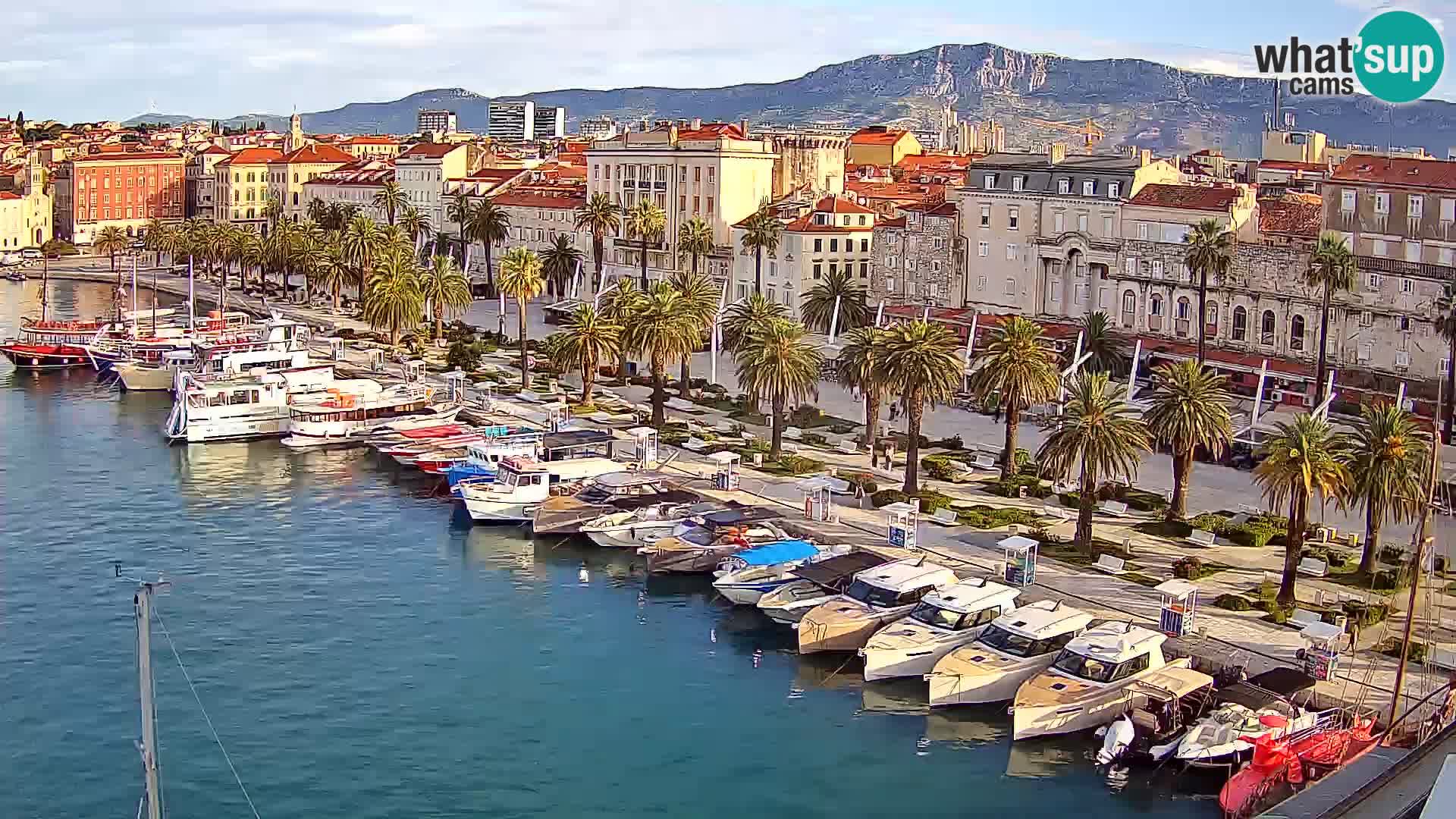 Webcam LIVE Split riva and port