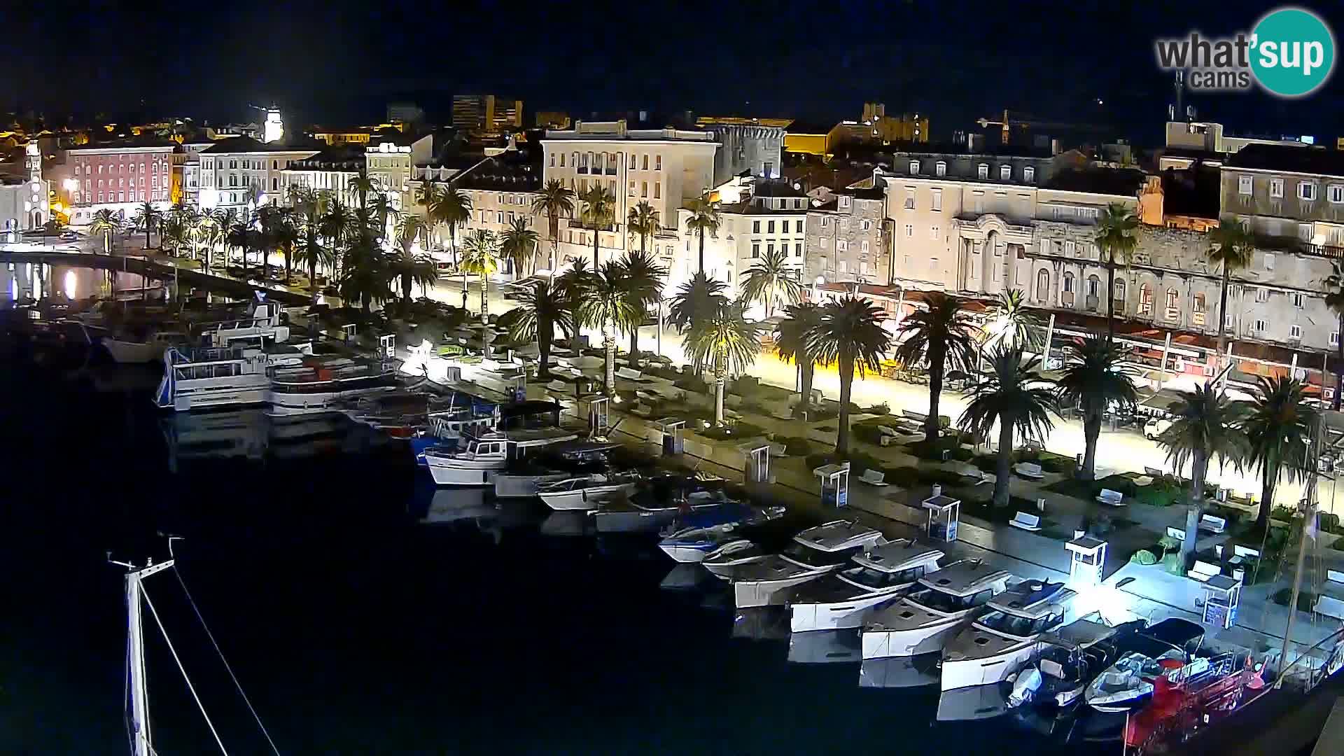 Split v živo panoramska kamera