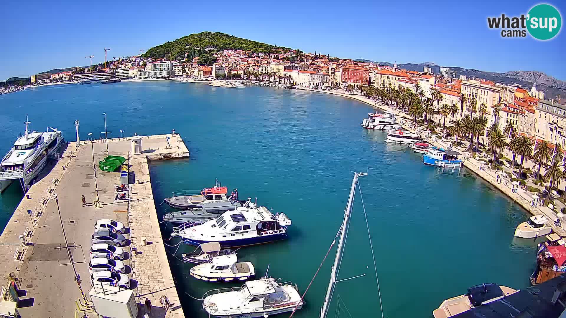 Split v živo panoramska kamera