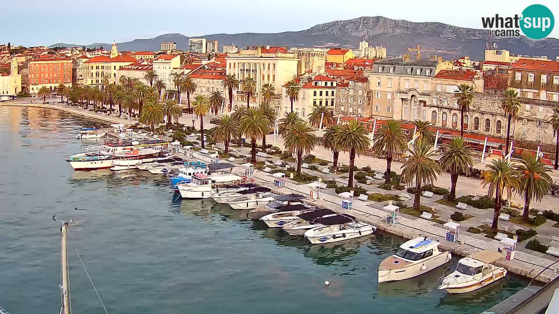 Webcam LIVE Split riva and port