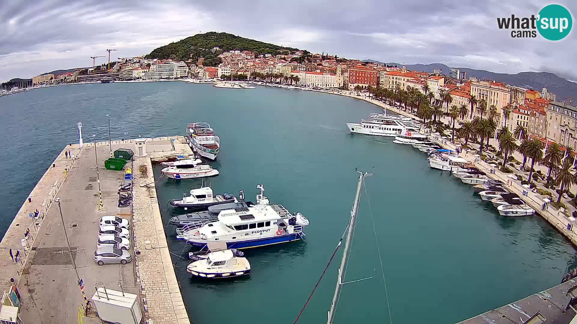 Split panorama en vivo
