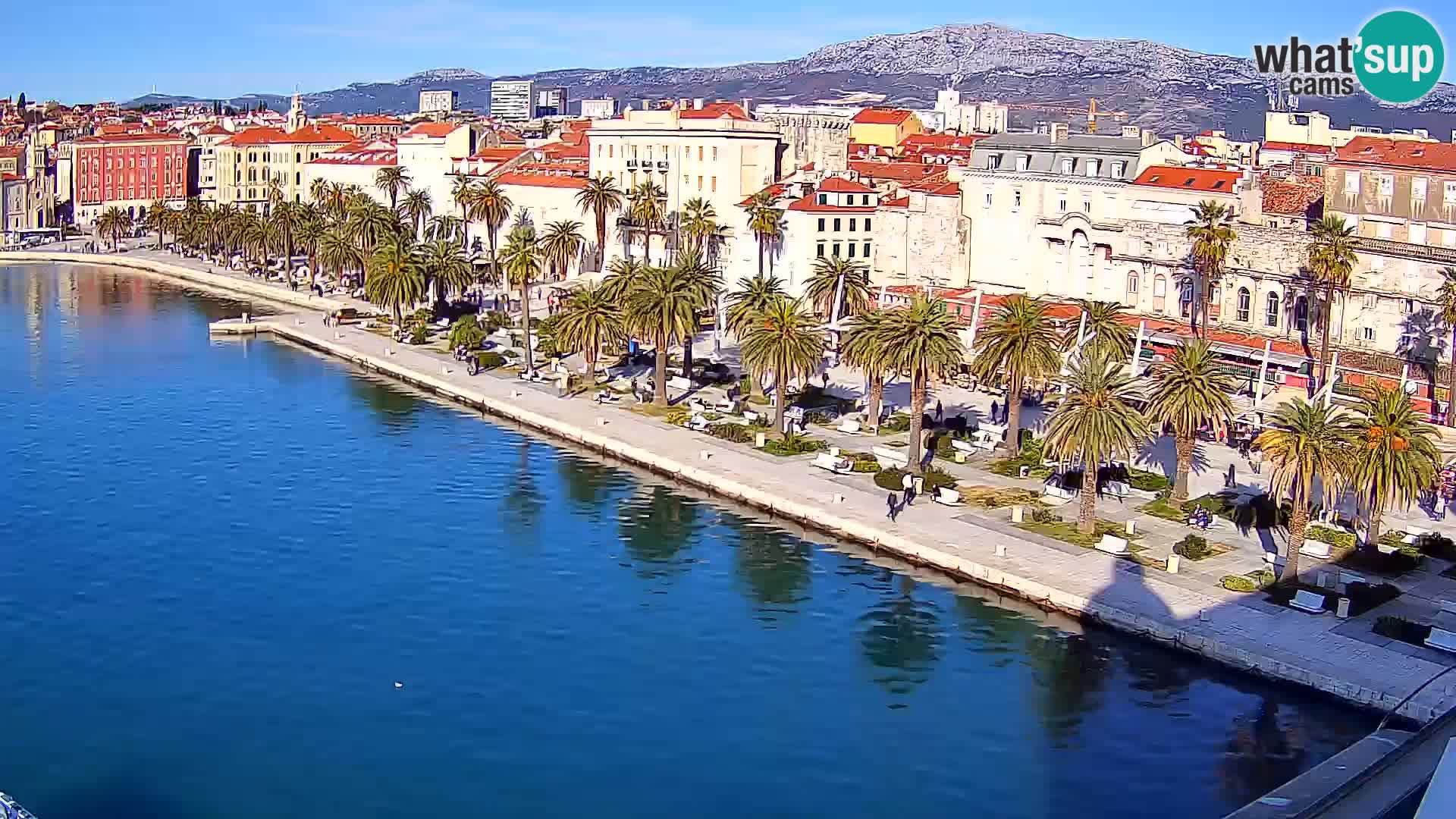 Split panorama en vivo