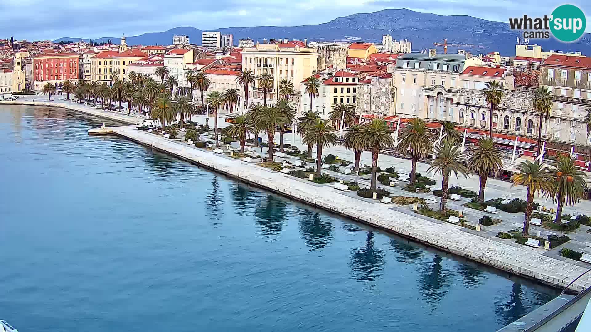 Split v živo panoramska kamera