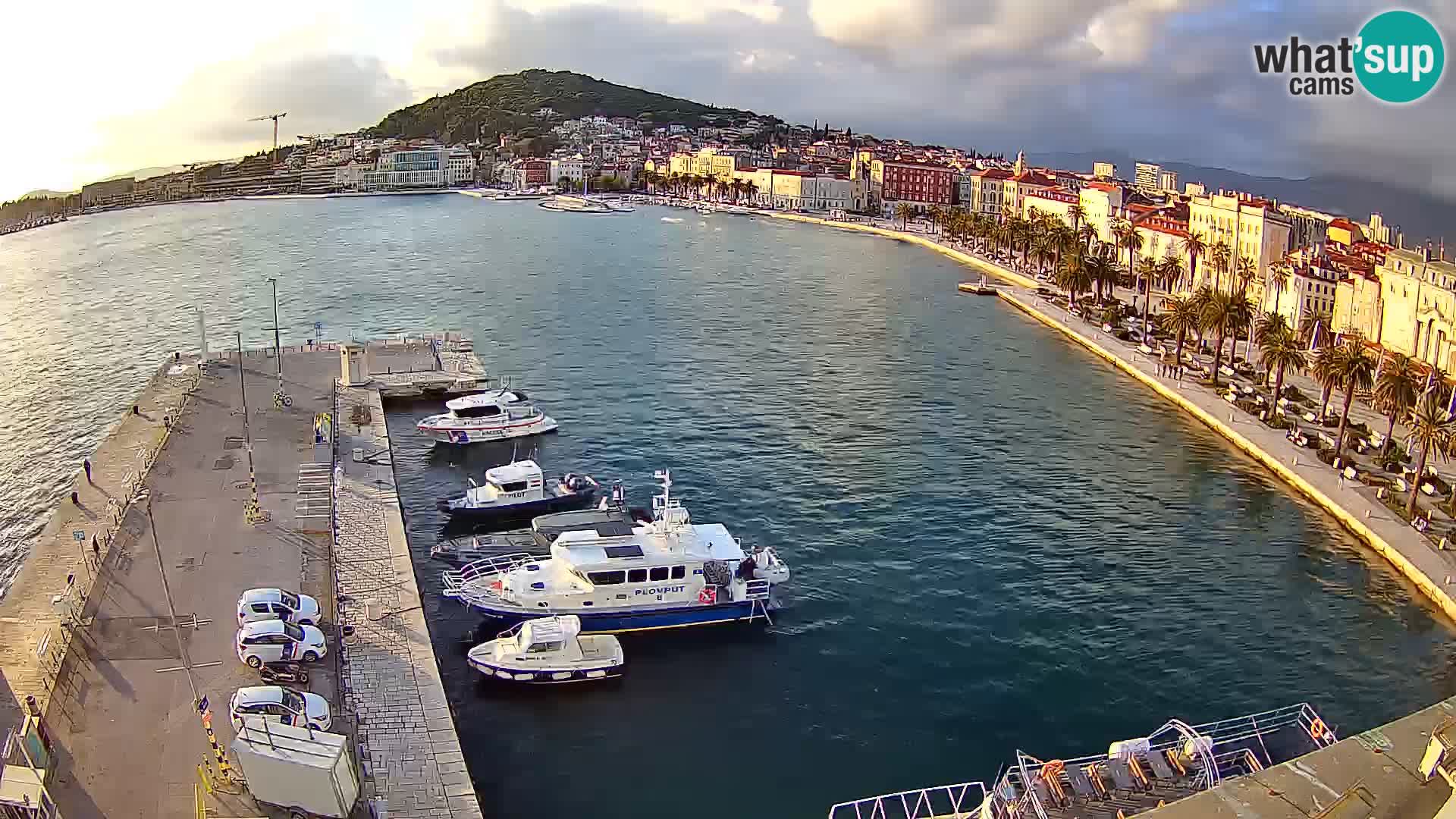 Split panorama en vivo