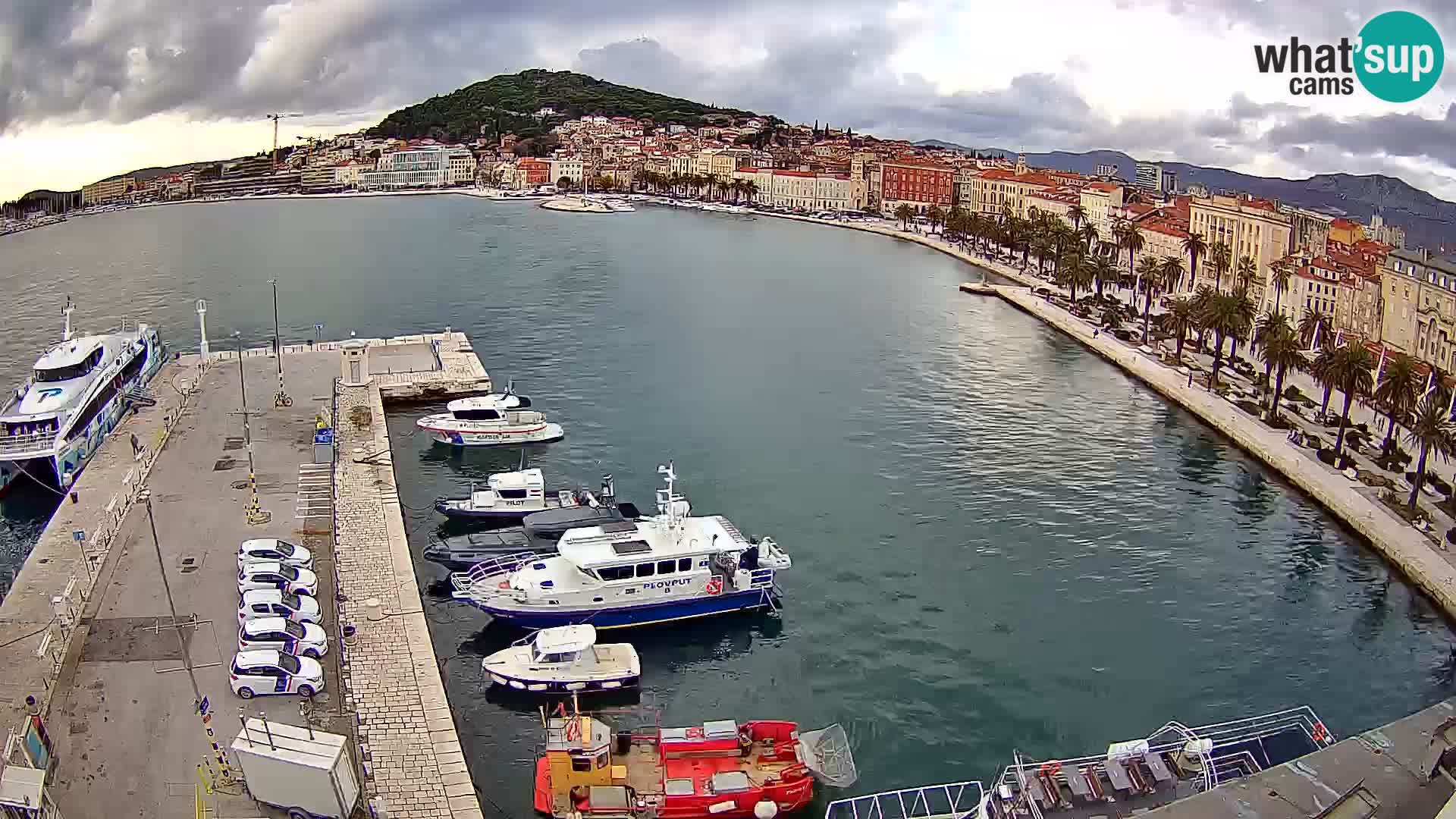 Split panorama en vivo