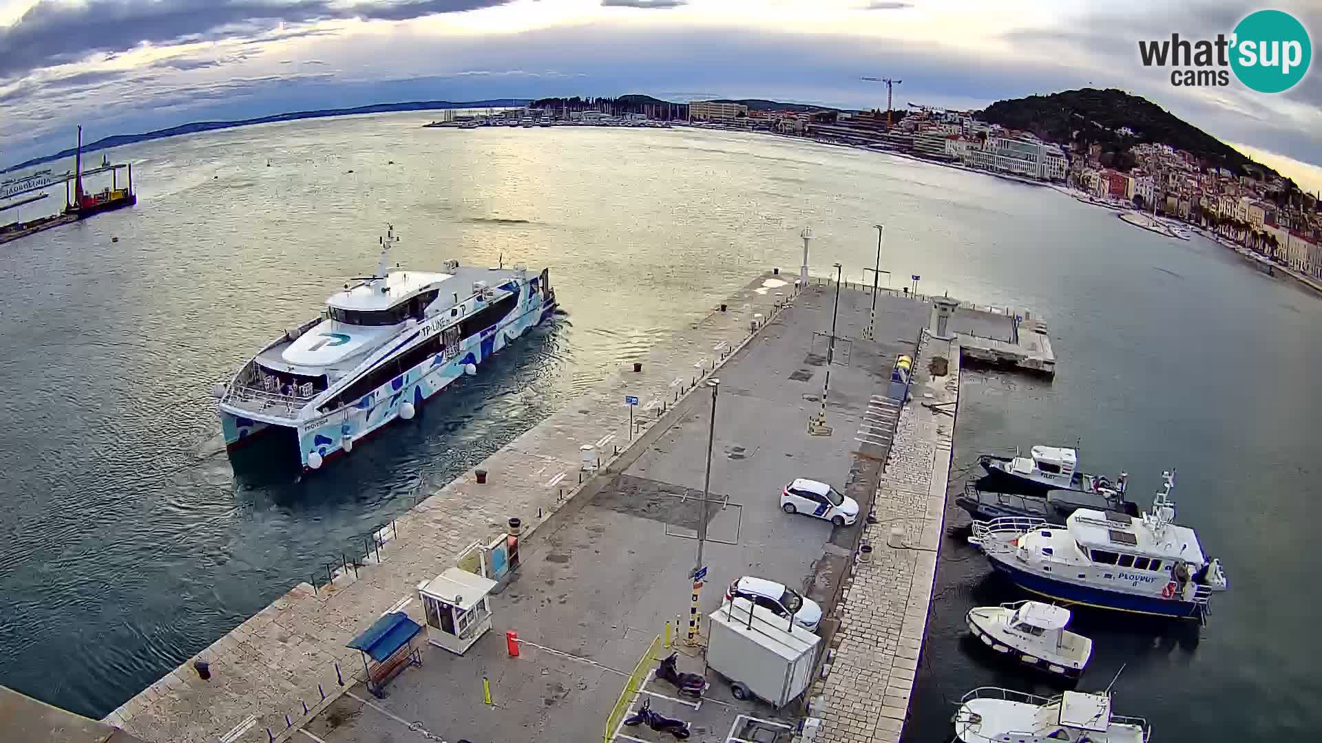 Split livecam panorama