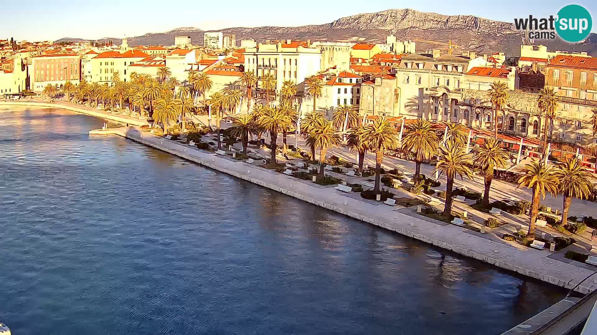 Split panorama en vivo