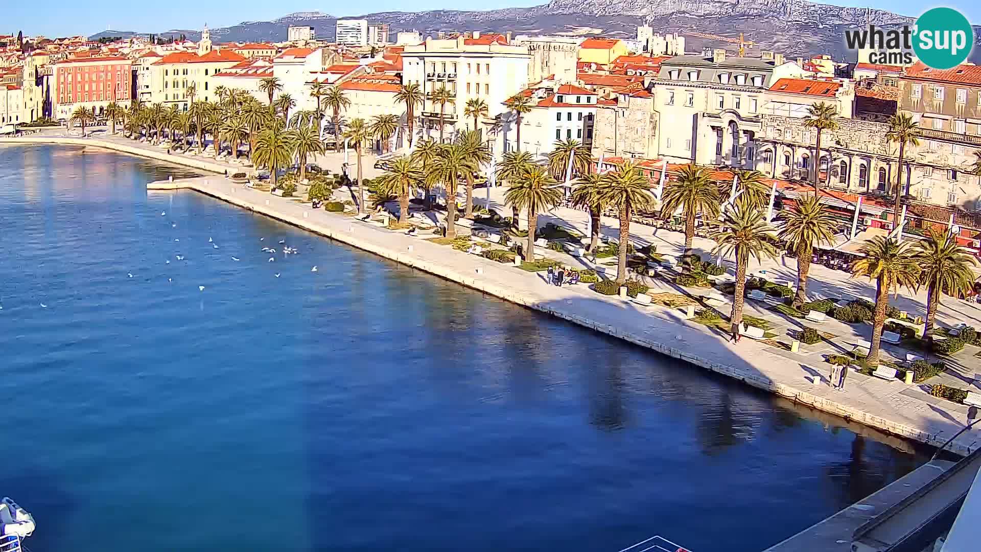 Spalato Riva panorama webcam